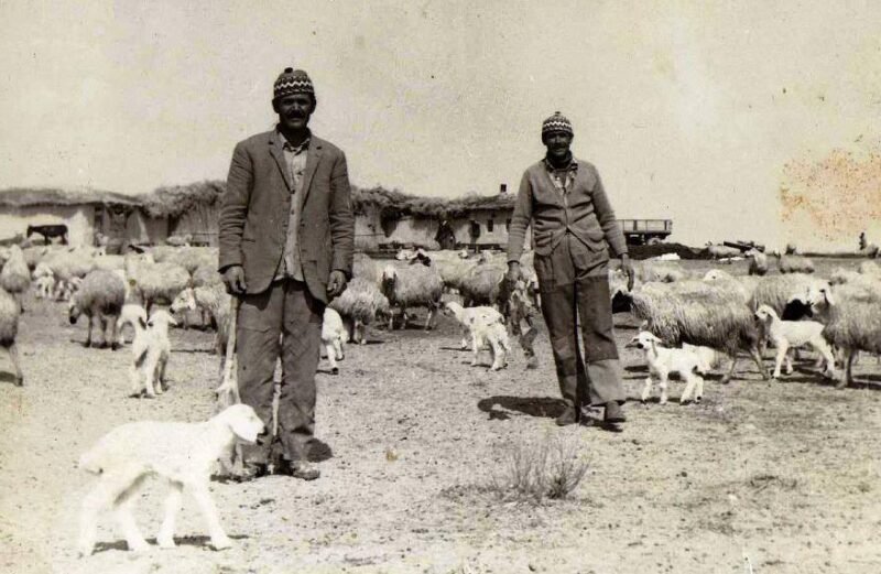 KONYA OVA KÖYLERİNDE UNUTULAN YAYLA KÜLTÜRÜ